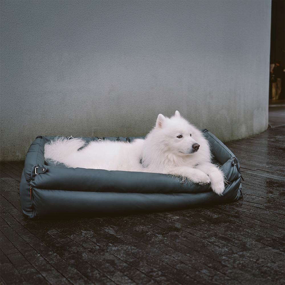 Dog Car Seat – Comfort and Protection