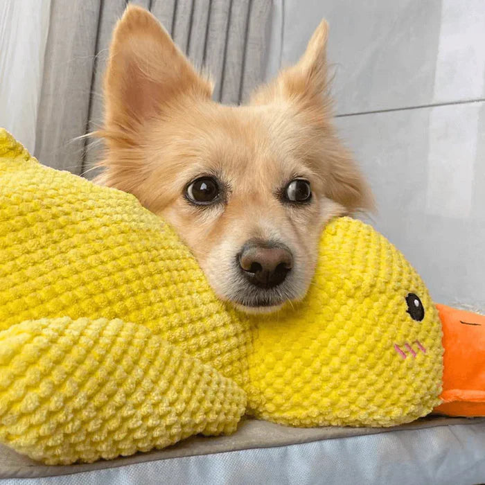 Beruhigendes Enten-Spielzeug für Hunde – Spiel- und Entspannungspartner