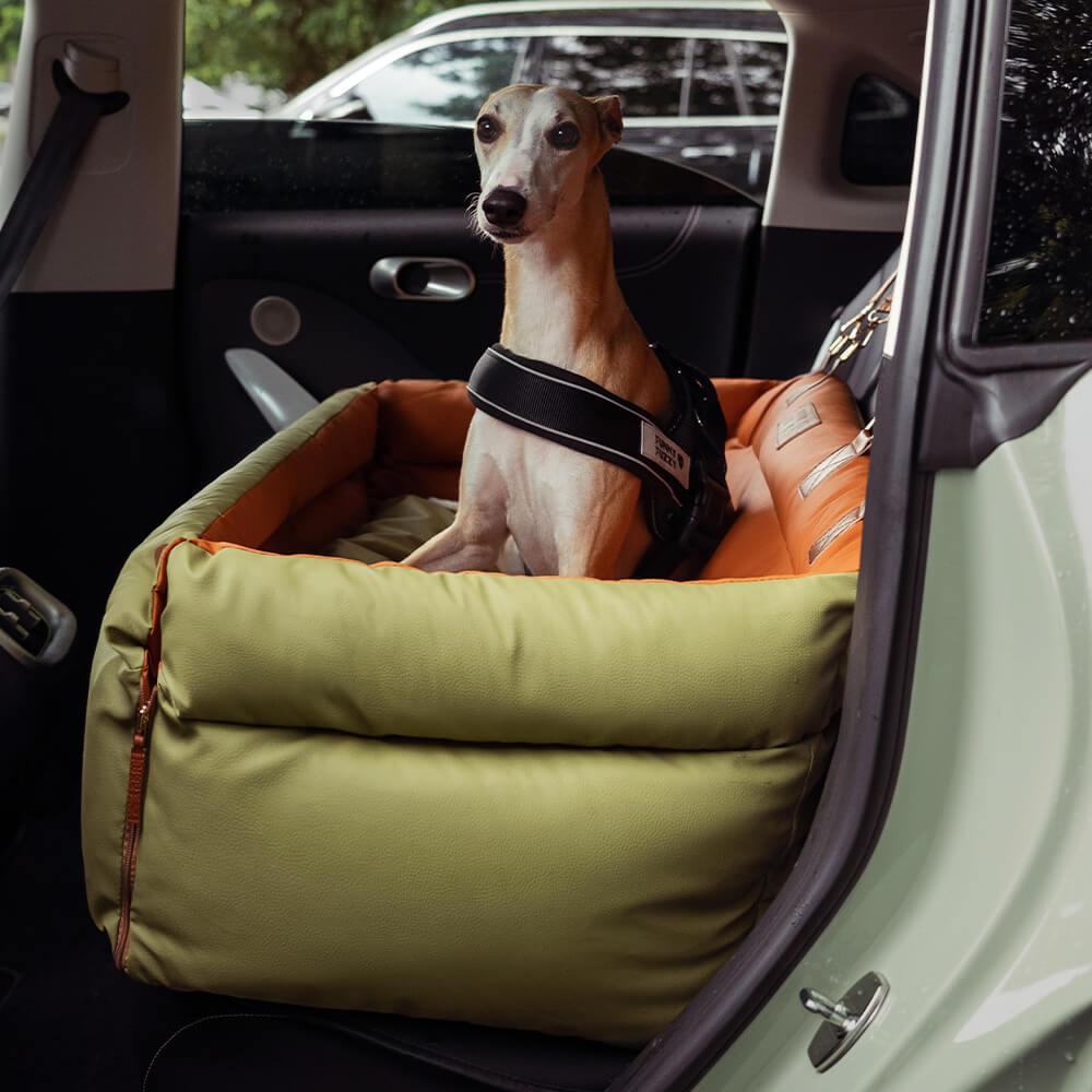 Dog Car Seat – Comfort and Protection