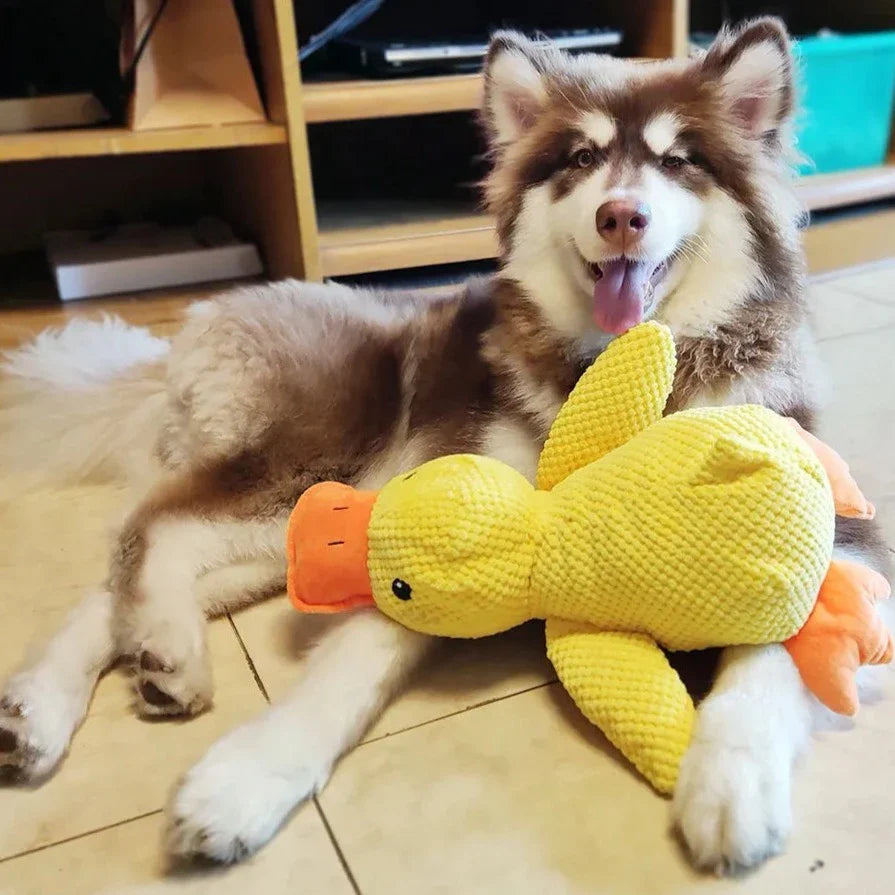 Beruhigendes Enten-Spielzeug für Hunde – Spiel- und Entspannungspartner