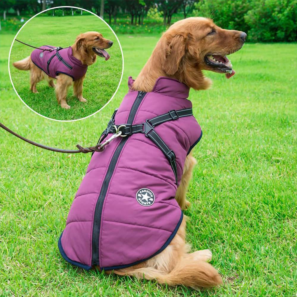 Parka Impermeable Para Perros - Protección y Estilo