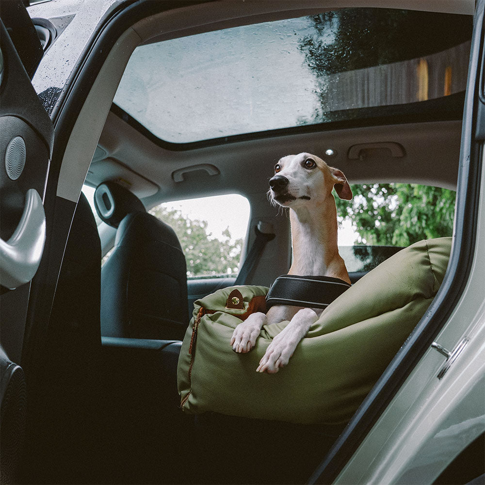 Dog Car Seat – Comfort and Protection
