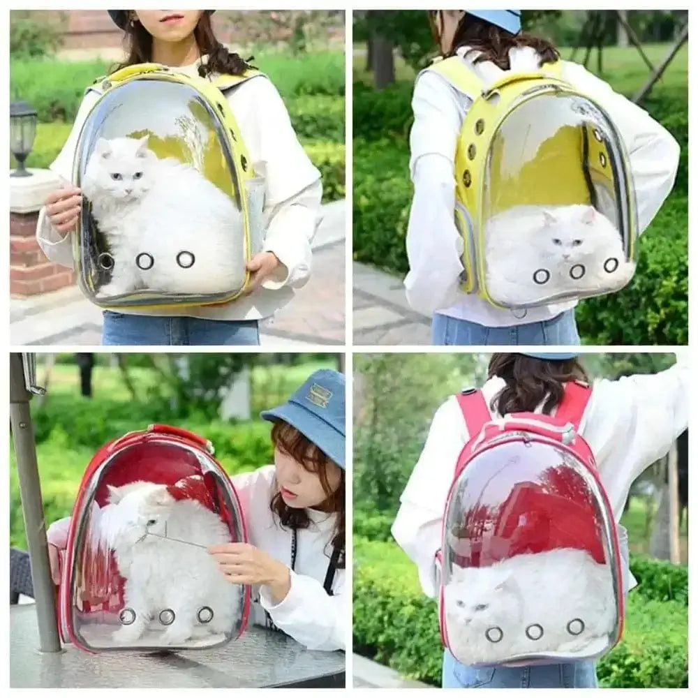 Bubble Backpack for Cats – Comfort and Safety While Traveling
