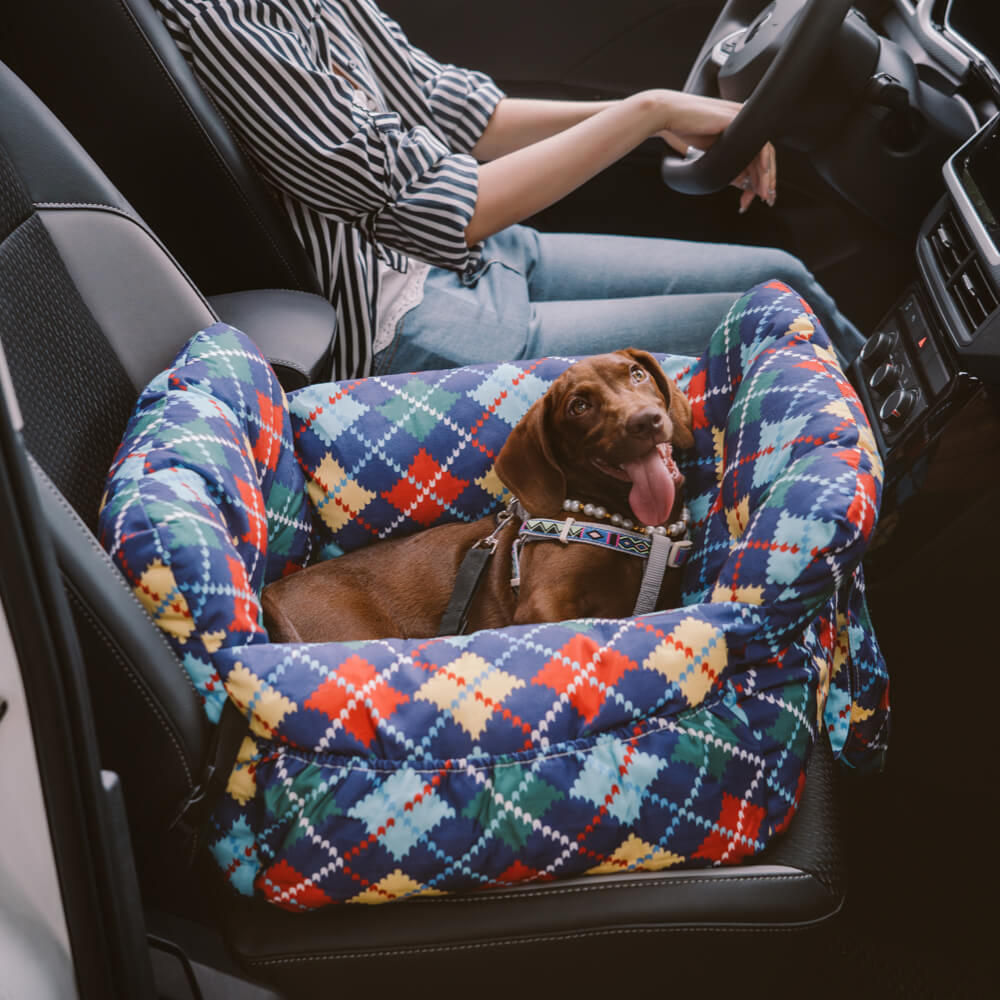 Dog Car Seat – Comfort and Safety While Traveling