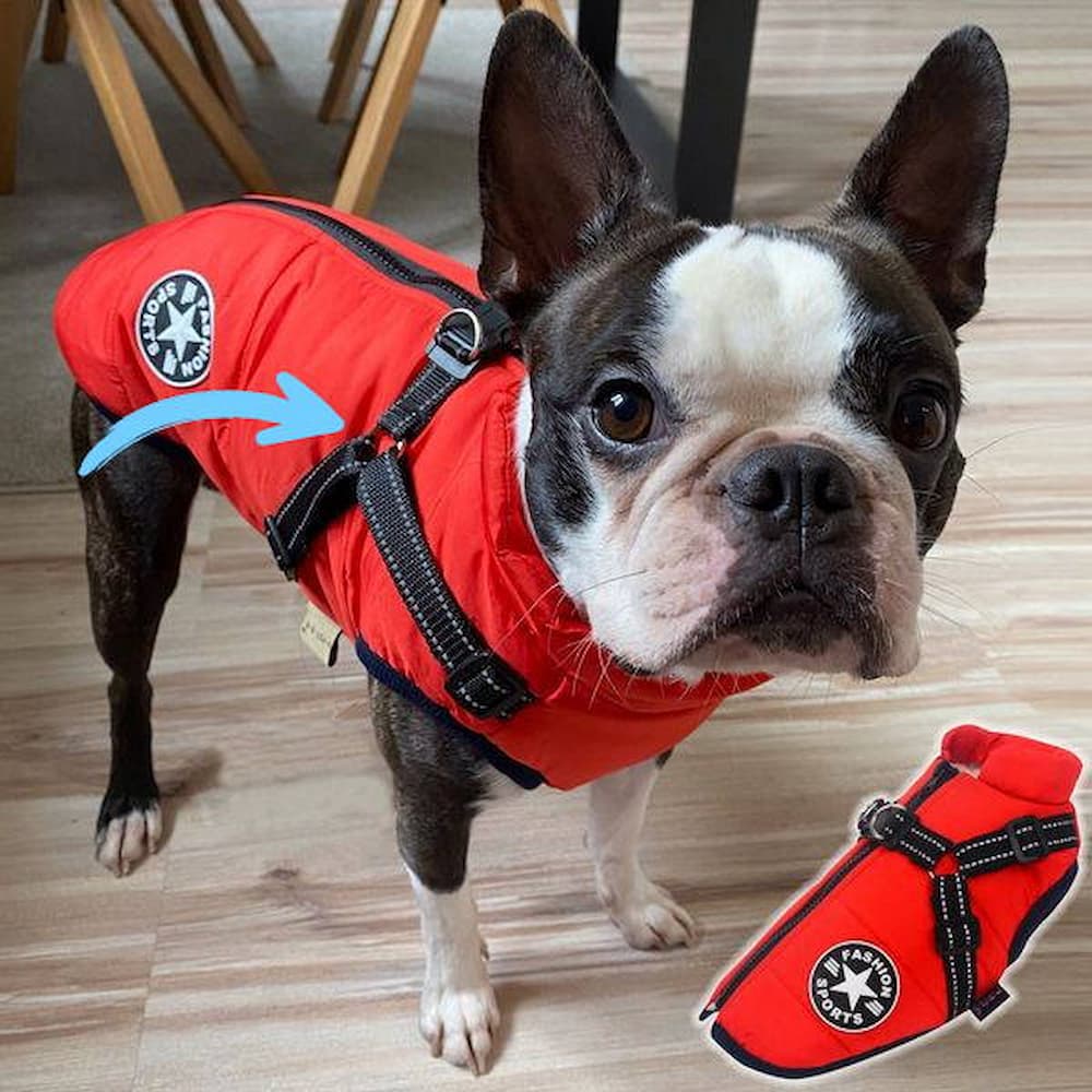 Parka Impermeable Para Perros - Protección y Estilo