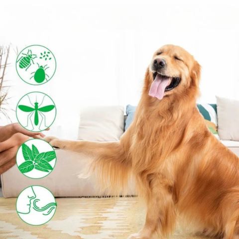 Přírodní dlouhotrvající anti-parazitní sprej — Účinná ochrana každý den
