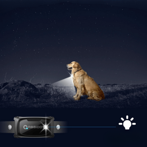 Collare di addestramento per cani – Telecomando LED e portata 1000 m