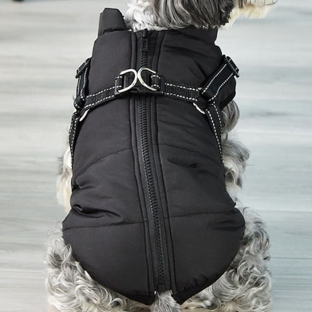 Parka Impermeable Para Perros - Protección y Estilo