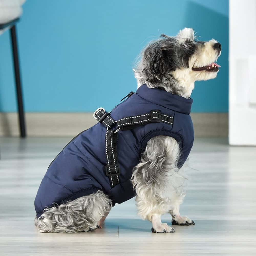 Parka Impermeable Para Perros - Protección y Estilo