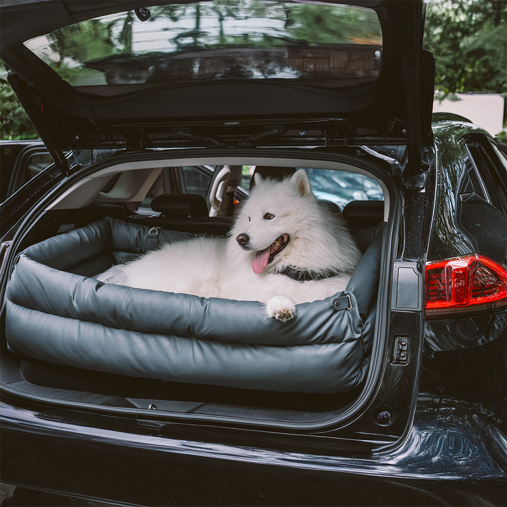 Dog Car Seat – Comfort and Protection
