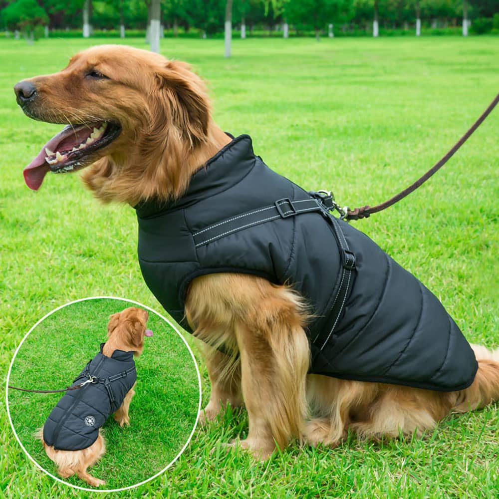 Parka Impermeable Para Perros - Protección y Estilo