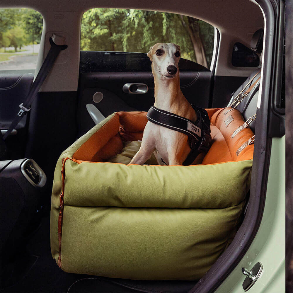 Dog Car Seat – Comfort and Protection