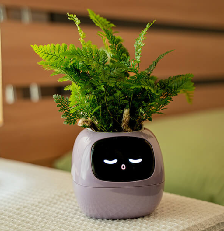 Emoji Vaso de Flores – Decoração Original e Divertida 