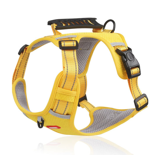 Harness מחזיר אור לכלב - נוחות וביטחון 