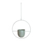 Suspensão de Parede – Elegância Industrial e Moderna 