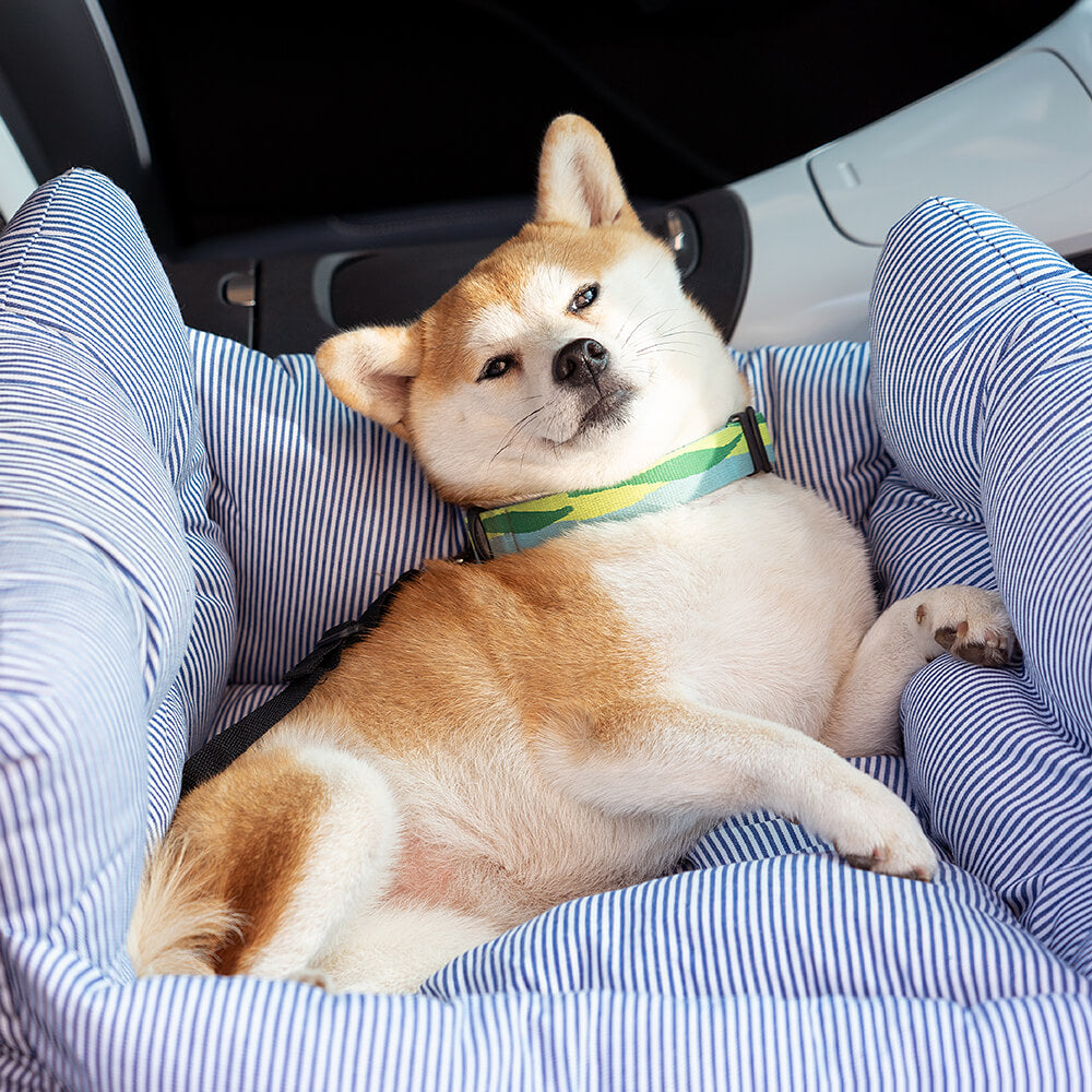 Cadeira de Auto para Cão – Conforto e Segurança em Viagem 