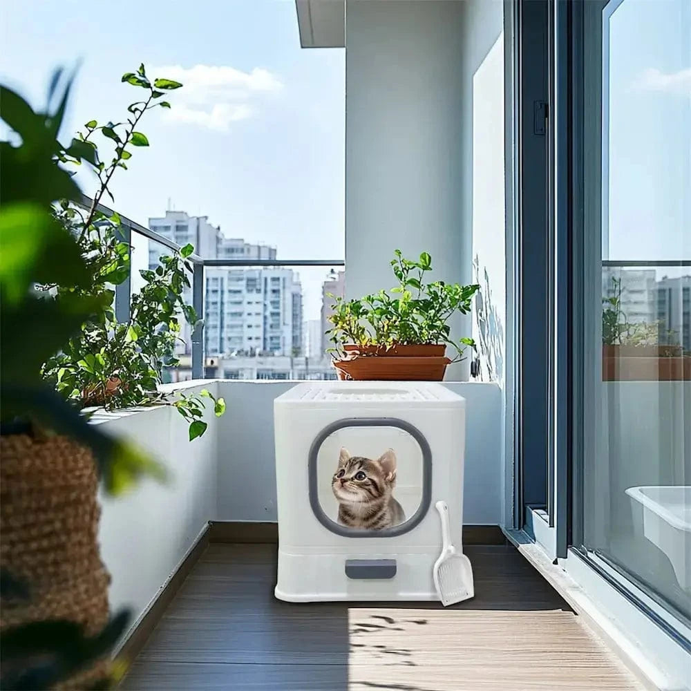 Litière Pour Chat Anti-Odeur – Propreté Et Confort Assurés