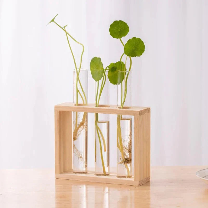 Vases Tubes Décoratifs – Simplicité Et Style Nature