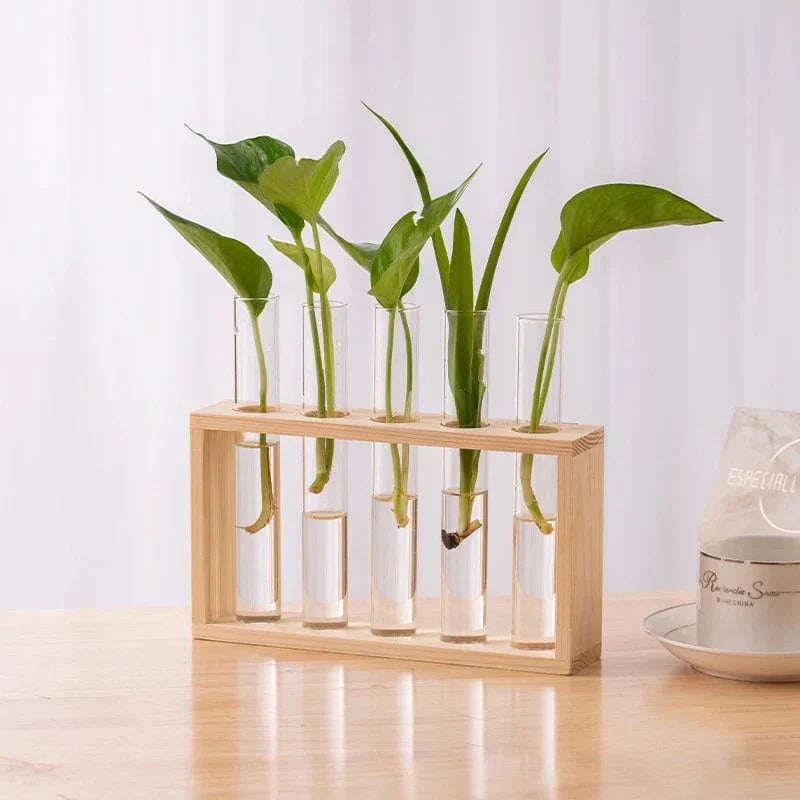 Vases Tubes Décoratifs – Simplicité Et Style Nature