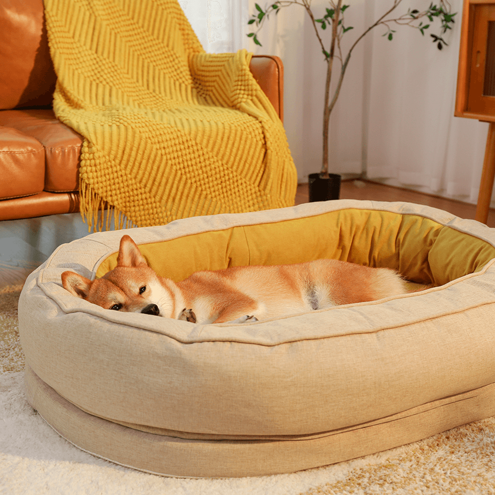 Lit En Forme De Beignet Pour Chien – Confort Et Douceur
