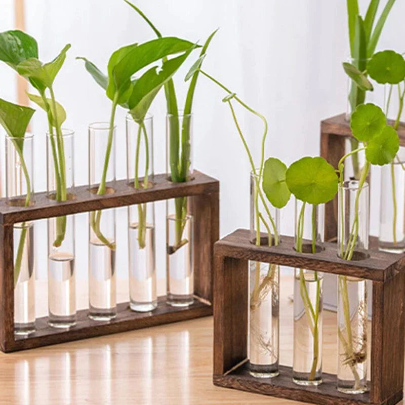 Vases Tubes Décoratifs – Simplicité Et Style Nature