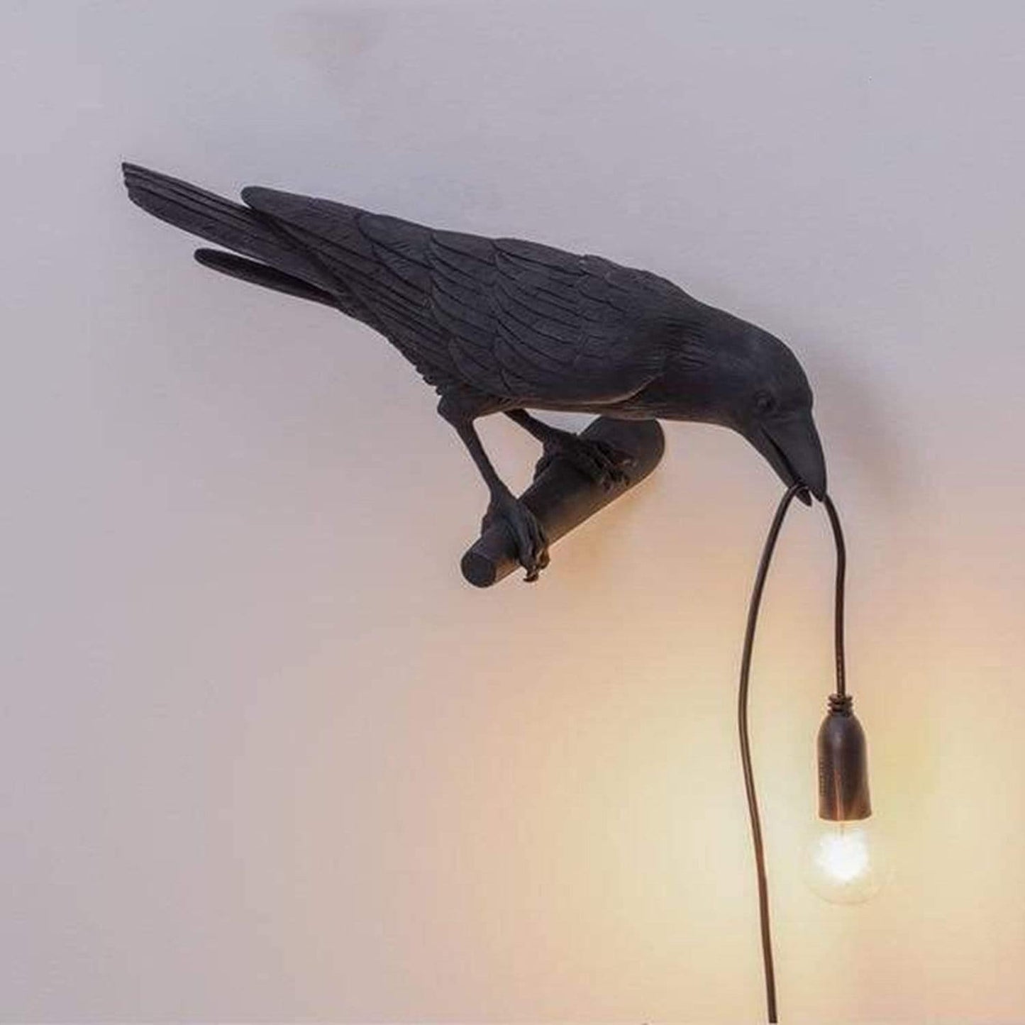 Decoratieve Lamp — Kraai Voor Een Mystieke Sfeer 