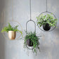 Suspensão de Parede – Elegância Industrial e Moderna 