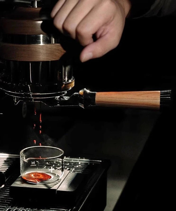 Filtro de café – Estilo Barista Sin Fondo 