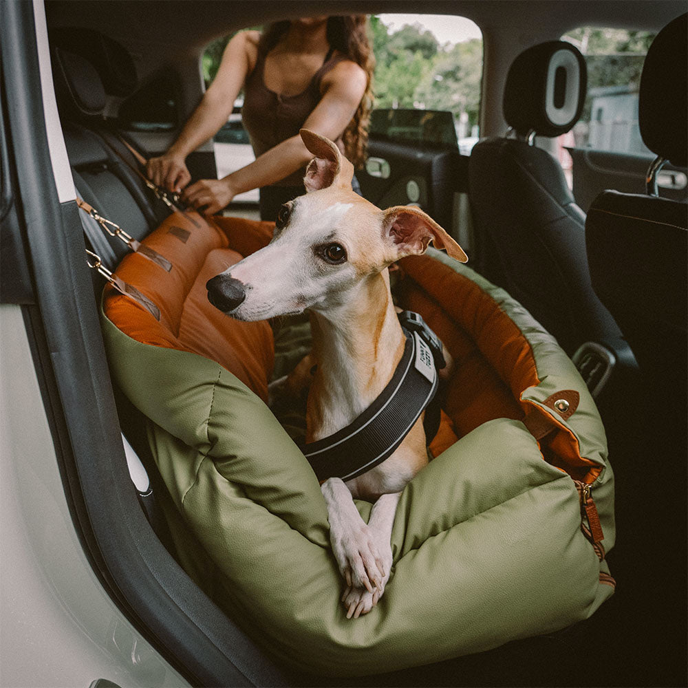 Siège Auto Pour Chien – Confort Et Protection