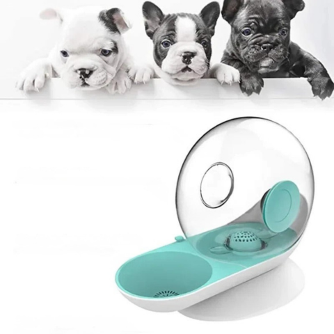 Automatikus szökőkút - Folyamatos hidratálás és modern design