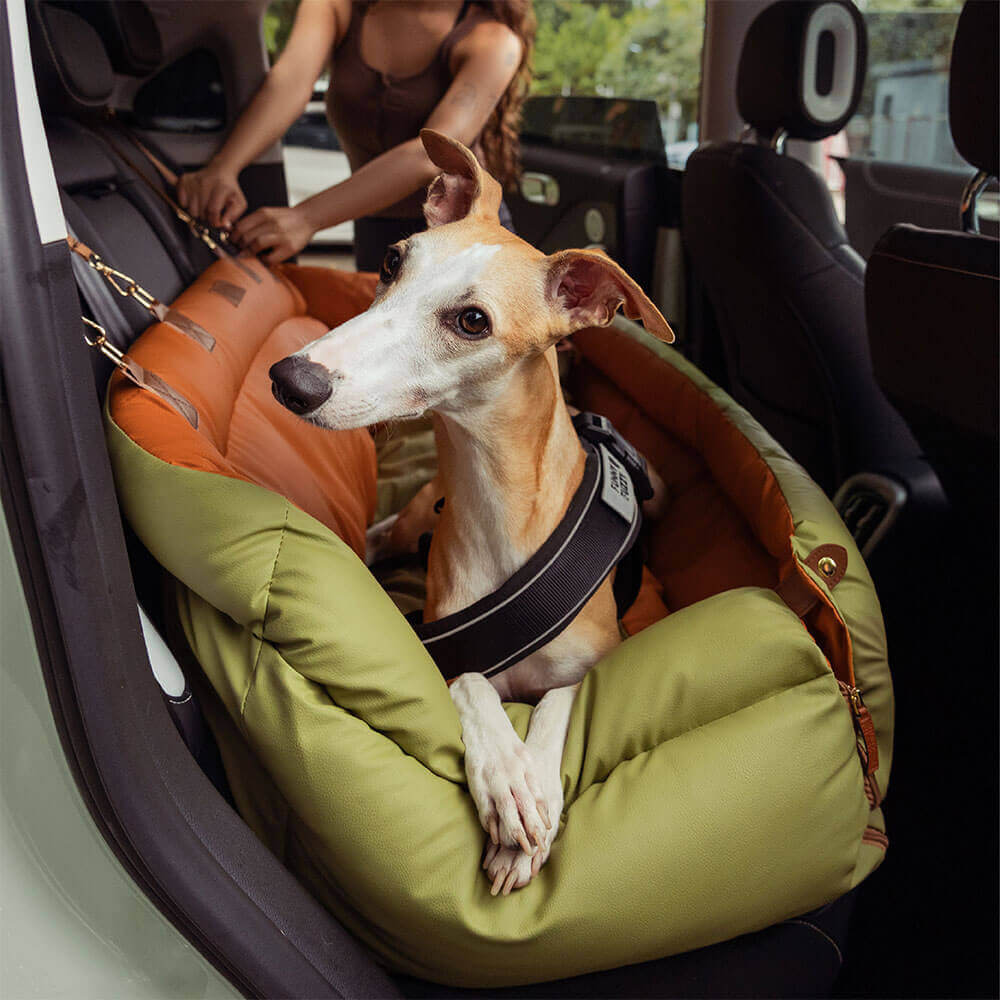 Siège Auto Pour Chien – Confort Et Protection