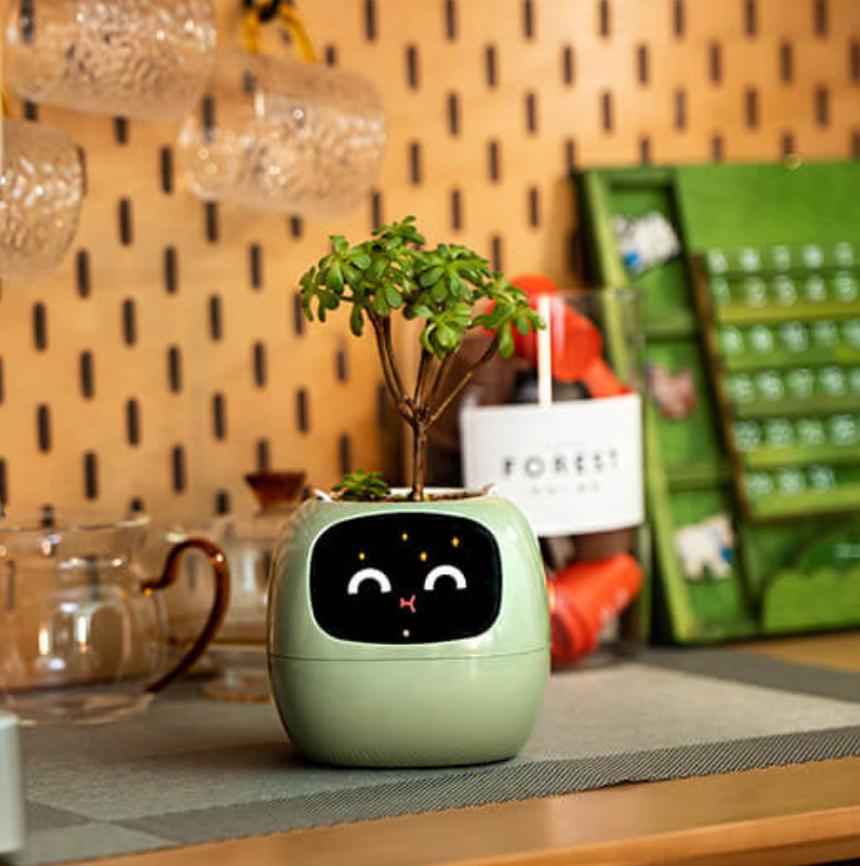 Emoji Vaso de Flores – Decoração Original e Divertida 