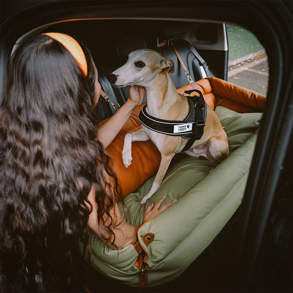 Siège Auto Pour Chien – Confort Et Protection