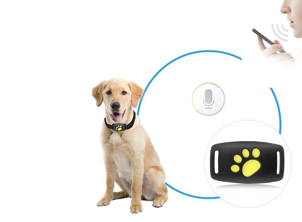 طوق GPS للقطط تتبع في الوقت الحقيقي - الأمان والراحة 