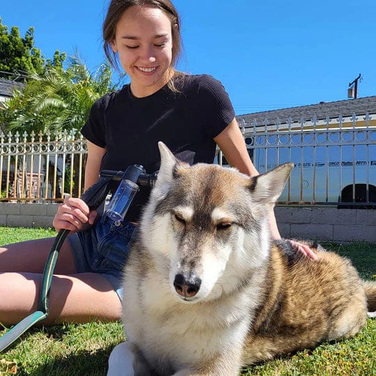 Canishower Pro - Sistema di bagno canino ad alte prestazioni